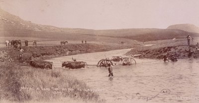 Canone che attraversa un fiume durante la guerra boera da Unknown photographer