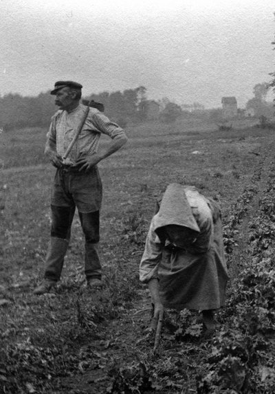 Couple de peasants working la terre, Somme 1921 Fotografia (Contadini francesi che lavorano nei campi, Somme 1921) Collezione privata da Unknown photographer