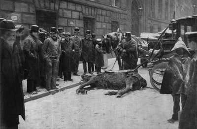 Morte di un cavallo da tiro nelle strade di Parigi. Fotografia, fine XIX secolo, Parigi. Collezione Selva da Unknown photographer