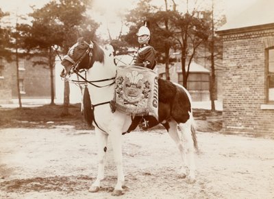 Cavallo Tamburo, 3° Dragoni del Principe di Galles, c.1895 da Unknown photographer