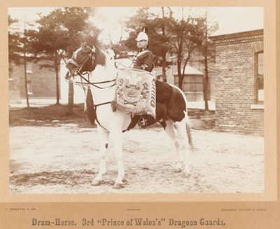 Cavallo Tamburo, 3° Dragoni del Principe di Galles, c.1895 da Unknown photographer