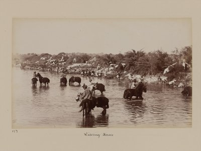Cavalieri indiani che abbeverano i loro cavalli durante il Campo di Esercizio di Delhi da Unknown photographer