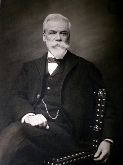 Ritratto di Ernest Gaston Joseph Solvary (foto) da Unknown photographer