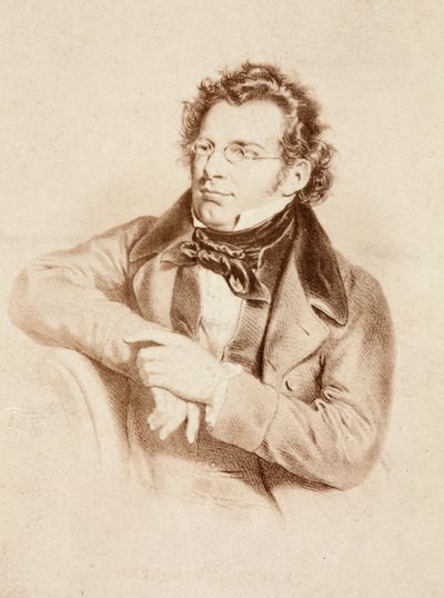 Ritratto di Franz Schubert da Unknown photographer