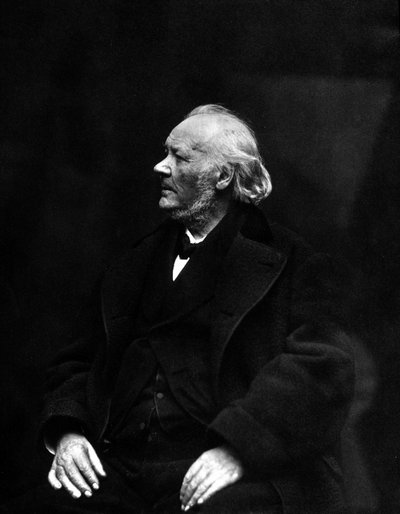 Ritratto di Honoré Daumier, caricaturista, litografo, pittore e scultore francese (1808-1879). Fotografia del XIX secolo da Unknown photographer