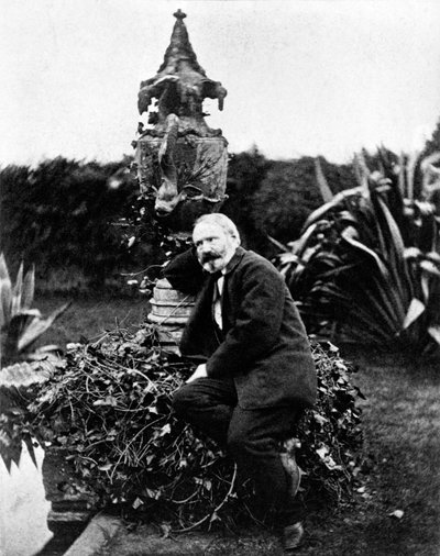 Ritratto di Victor Hugo da Unknown photographer