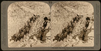 Ritratto di un ragazzo nelle famose cave di marmo di Carrara da Unknown photographer