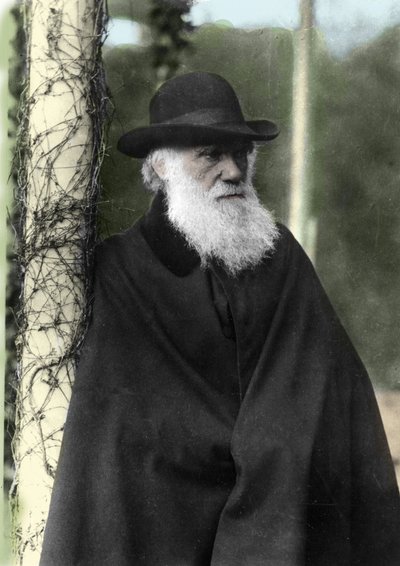 Ritratto fotografico di Charles Darwin, naturalista inglese nel 1881 da Unknown photographer