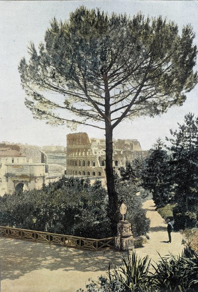 Roma, il Colosseo visto dal Palatino da Unknown photographer
