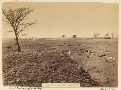 Scena di sorpresa del xciv reggimento, 1881 da Unknown