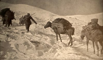 Le posizioni francesi e italiane hanno più di 2 metri di neve sul livello del mare. da Unknown photographer