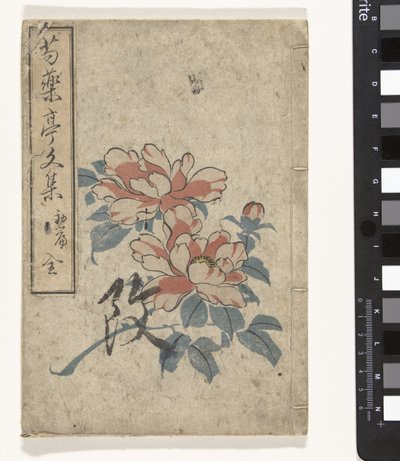 Antologia di peonie da Utagawa (school of)