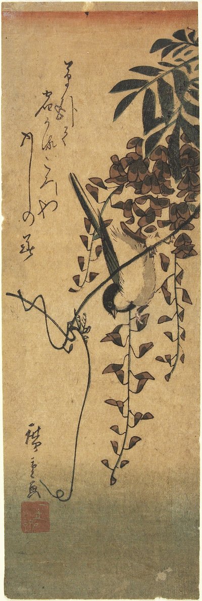 Uccello su ramo di glicine da Utagawa Hiroshige