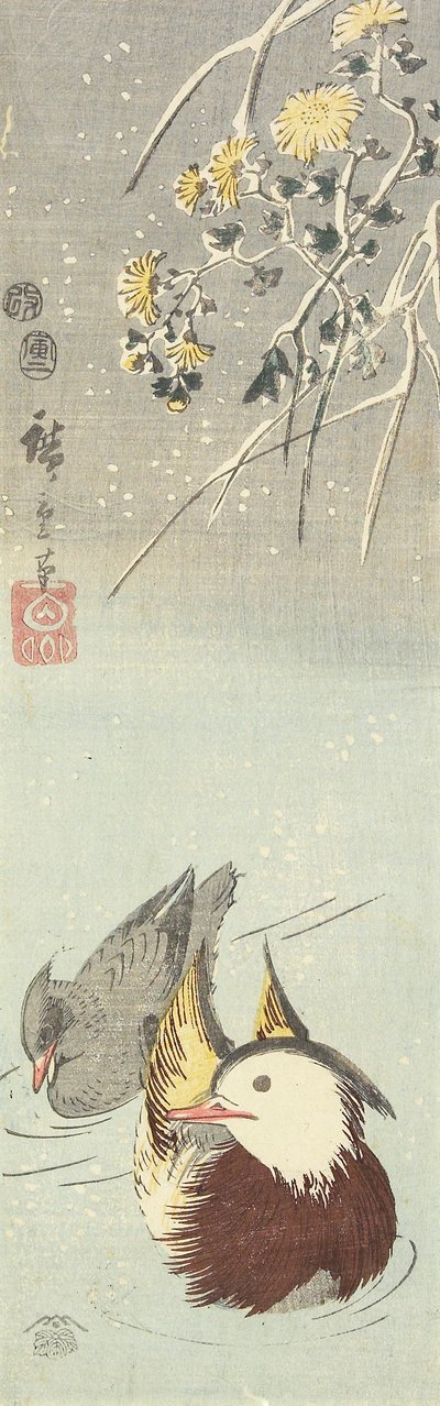 (Crisantemo e anatre mandarino), febbraio 1854 da Utagawa Hiroshige