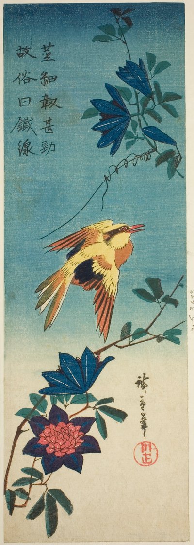 Rigogolo dal collare nero e clematide da Utagawa Hiroshige