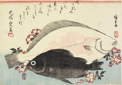 Pesce fluke e black bass, fiori di ciliegio da Utagawa Hiroshige