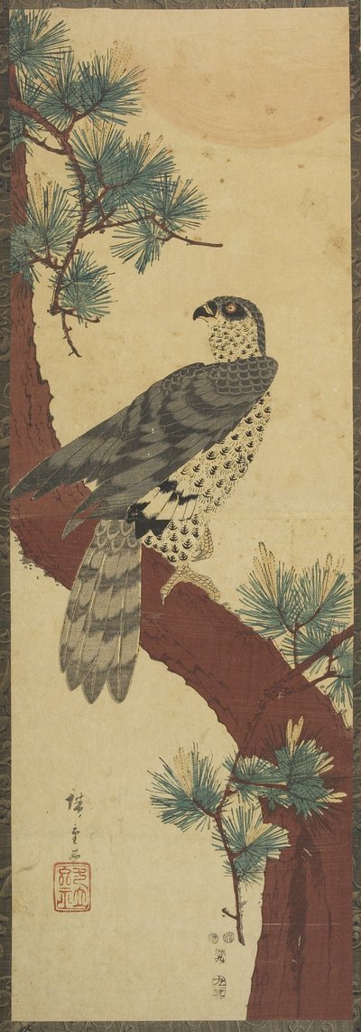 (Falco su ramo di pino, estate), settembre 1853 da Utagawa Hiroshige