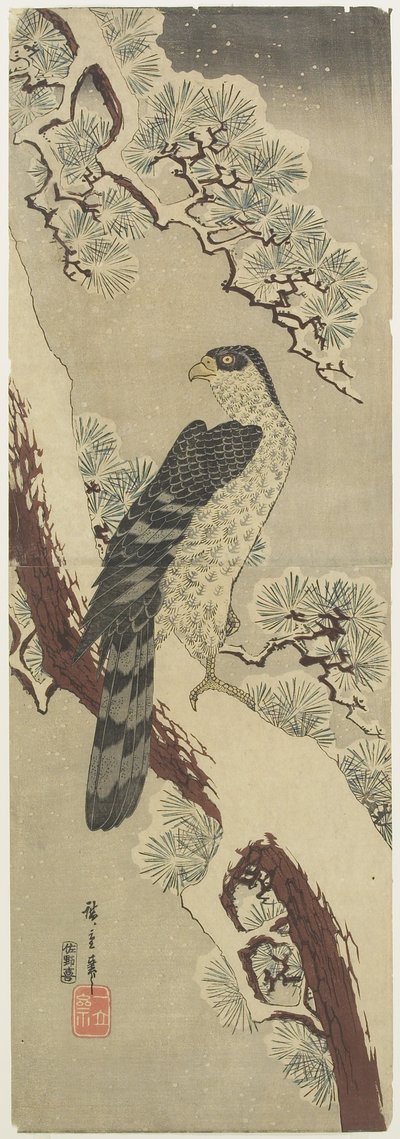 (Falco su ramo di pino, inverno), inizio XIX secolo da Utagawa Hiroshige