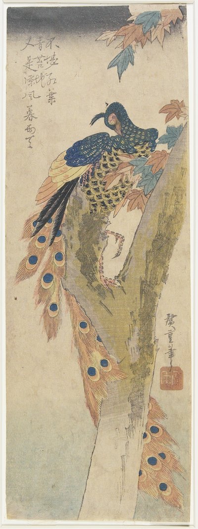 (Pavone su acero), inizio XIX secolo da Utagawa Hiroshige