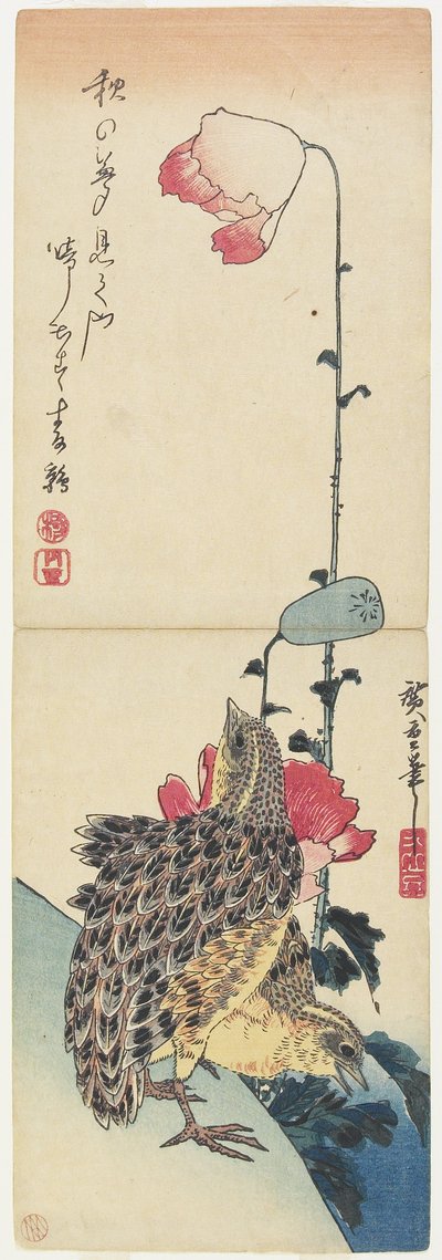 Quaglia e papaveri, 1830-1858 da Utagawa Hiroshige