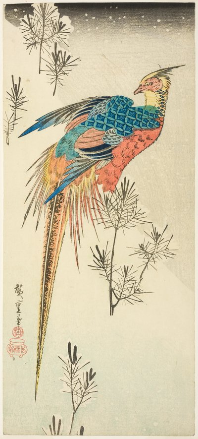 Un fagiano dorato appollaiato su un ripido pendio innevato tra piccoli pini da Utagawa Hiroshige