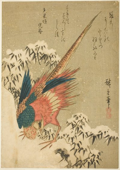Un fagiano dorato tra bambù coperti di neve su un pendio ripido da Utagawa Hiroshige