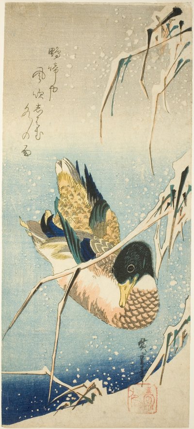Anatra selvatica che nuota vicino a una riva coperta di neve sotto canne cariche di neve da Utagawa Hiroshige