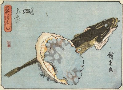 Abalone e Flathead, 1830-1844 da Utagawa Hiroshige