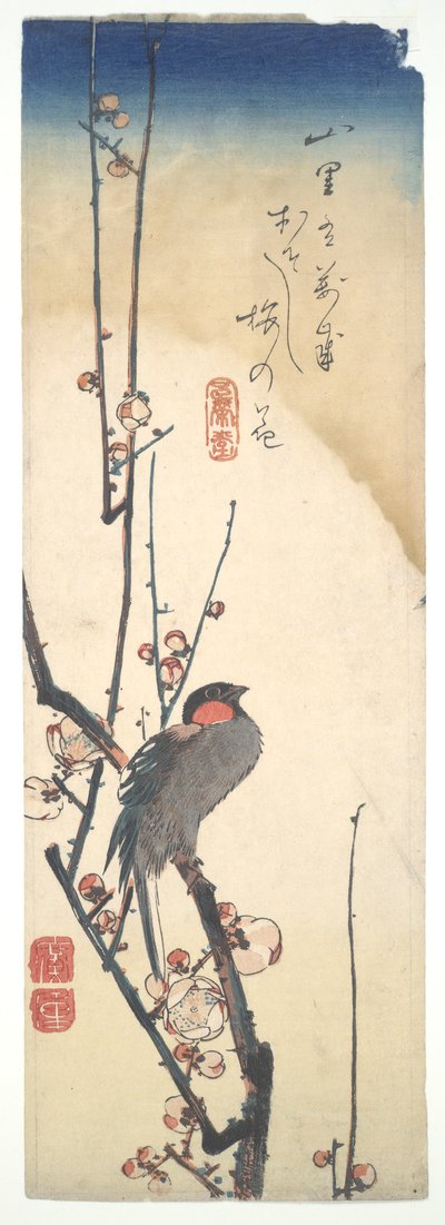 Uccello e albero di prugne da Utagawa Hiroshige