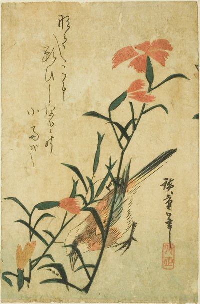 Uccello e garofano selvatico da Utagawa Hiroshige