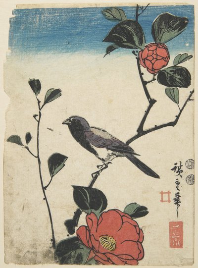 Uccello su ramo di ciliegio, 1847-1852 da Utagawa Hiroshige