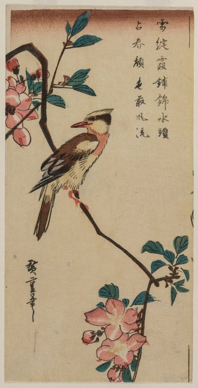 Oriolo dal collare nero (Warbler coreano) su un melo da fiore da Utagawa Hiroshige