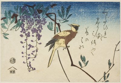 Rigogolo dal collare nero e glicine da Utagawa Hiroshige