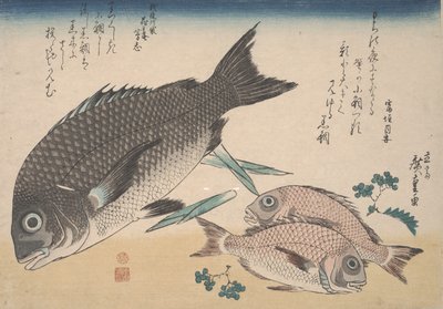 Orata del Mar Nero, Piccola Orata, Germogli di Asparagi e Pepe Sansho, c.1830 da Utagawa Hiroshige