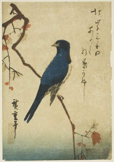 Uccello blu su ramo di acero da Utagawa Hiroshige