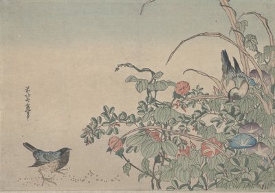 Uccelli azzurri con glorie del mattino e Lespedeza, c.1833 da Utagawa Hiroshige