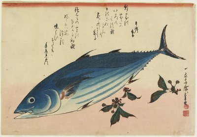 Bonito e Foglie di Ciliegio, 1832-1833 da Utagawa Hiroshige