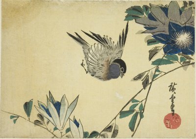 Cinciallegra e clematide da Utagawa Hiroshige