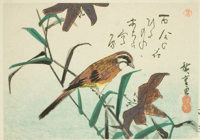 Zigolo e gigli da Utagawa Hiroshige