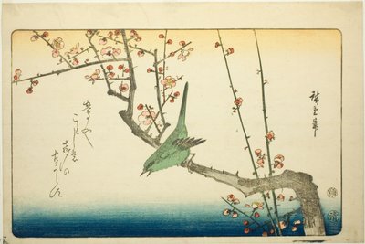 Usignolo su ramo di prugna da Utagawa Hiroshige
