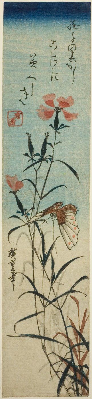 Farfalla e garofani da Utagawa Hiroshige