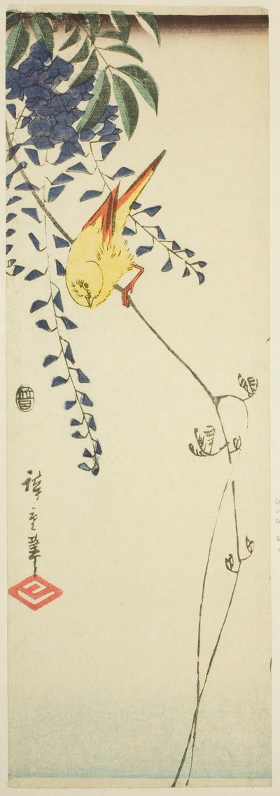 Canarino e glicine da Utagawa Hiroshige