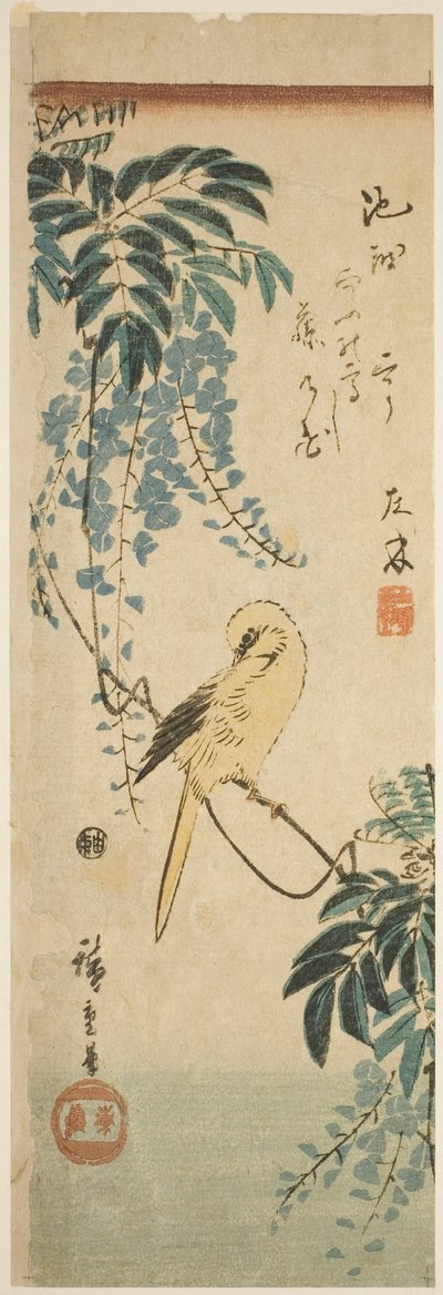 Canarino e glicine da Utagawa Hiroshige