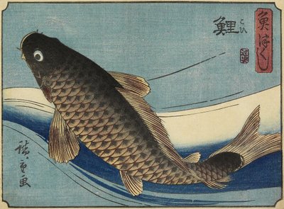 Carpa da Utagawa Hiroshige