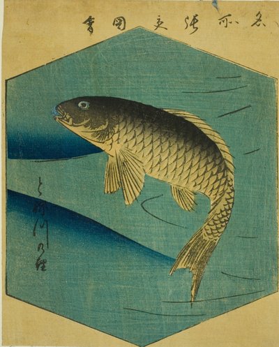 Carpe nel Fiume Tone (Tonegawa no koi), sezione di un foglio dalla serie "Immagini Ritagliate di Luoghi Famosi di Edo (Edo meisho harimaze zue)" da Utagawa Hiroshige