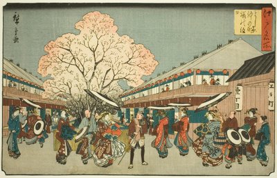 Giorno dei fiori di ciliegio sul Nakanocho di Yoshiwara (Yoshiwara Nakanocho Sakura no monbi), dalla serie "Luoghi famosi di Edo (Edo meisho)" da Utagawa Hiroshige