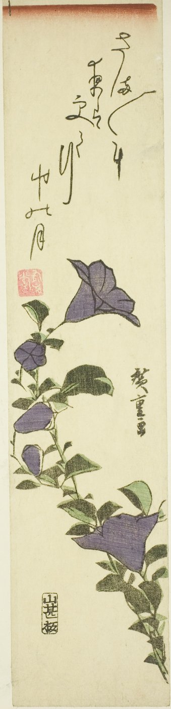 Fiori di campanula cinese da Utagawa Hiroshige
