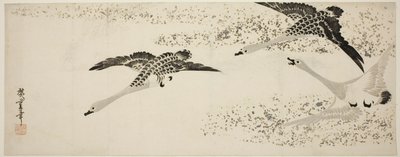 Oche in discesa da Utagawa Hiroshige