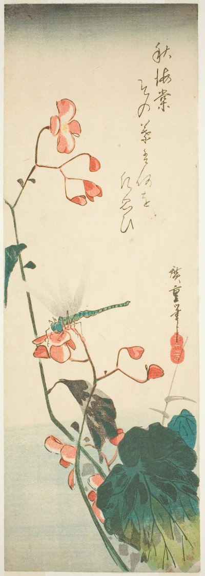Libellula e begonia da Utagawa Hiroshige