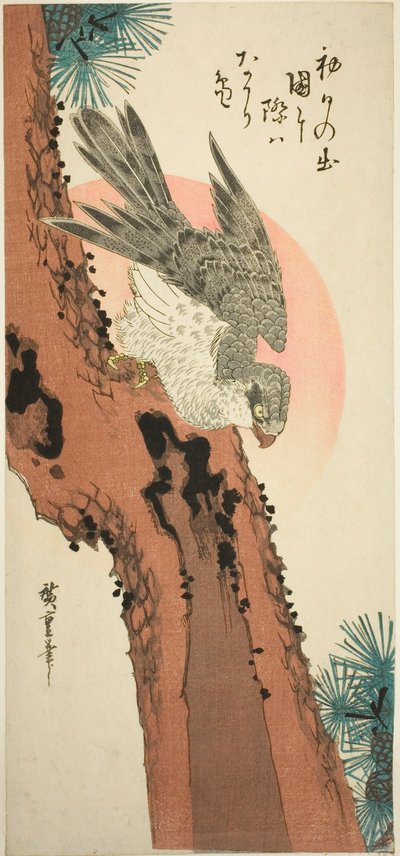 Falco su un pino con il sole nascente da Utagawa Hiroshige